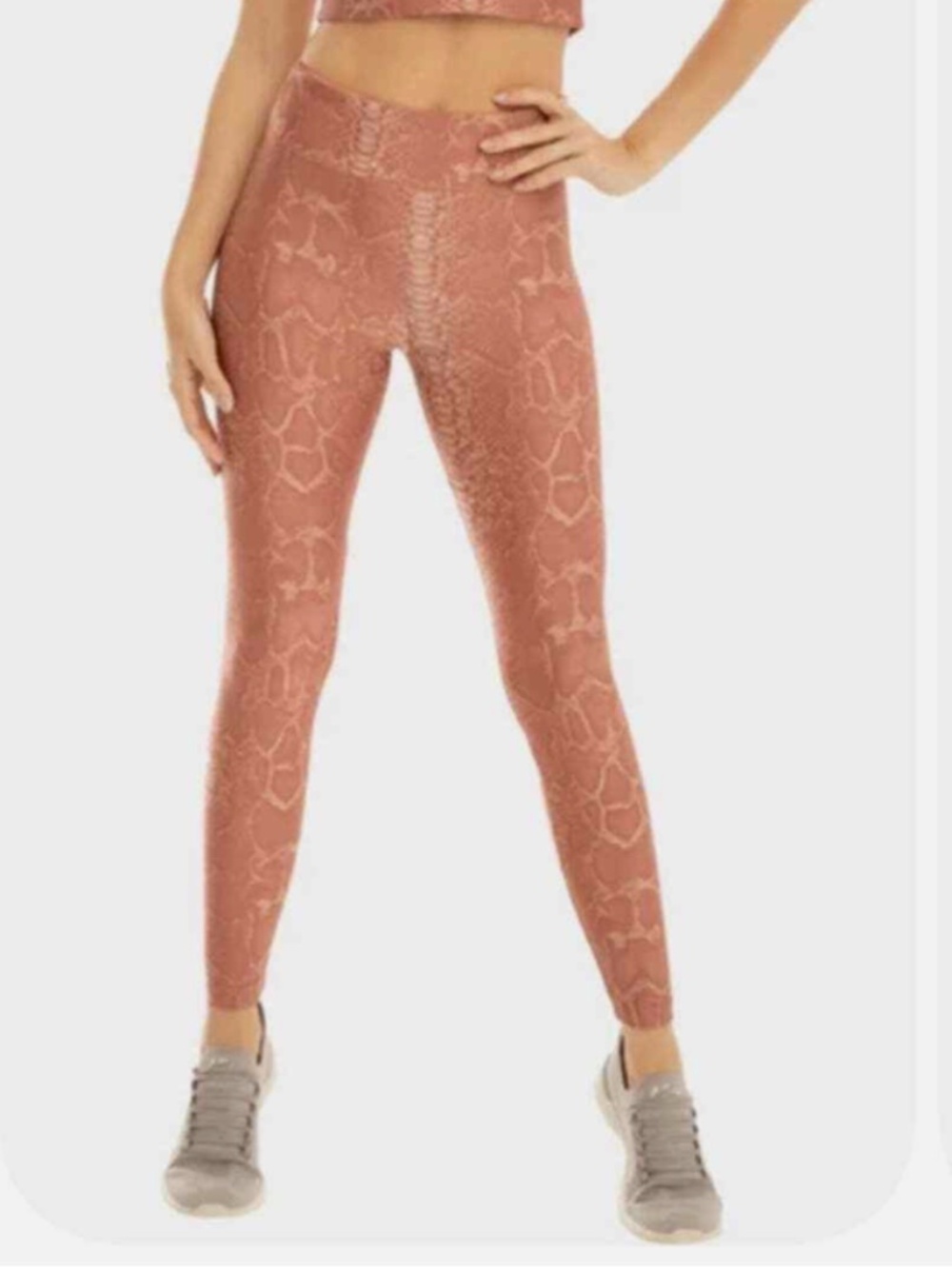 Koral High Rise Reptile Legging – Reptile Sand